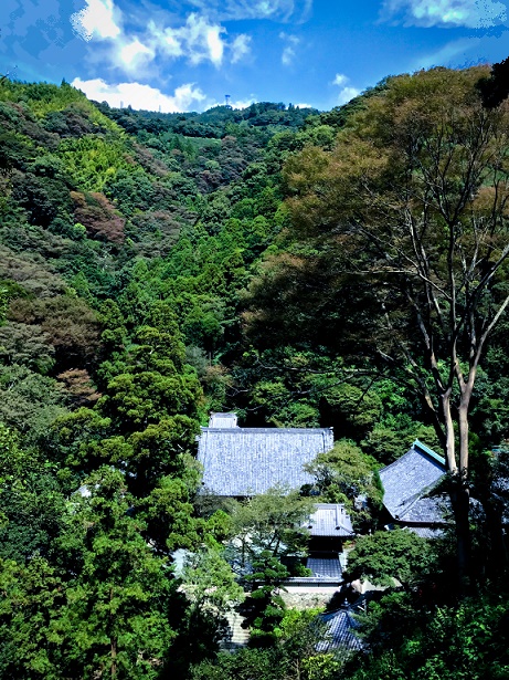 高草山頂を背に佇む林叟院